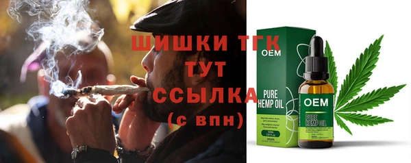 дмт Абаза