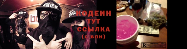 дмт Абаза