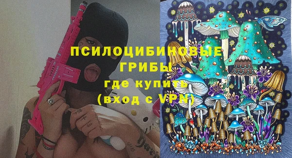 дмт Абаза