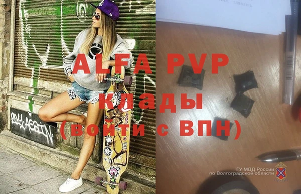 дмт Абаза
