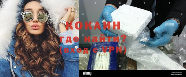 гашик Костерёво