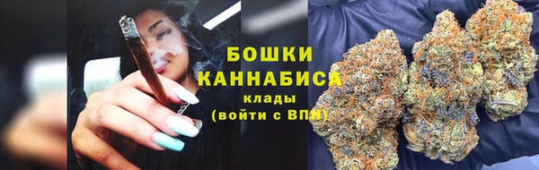 PSILOCYBIN Алексин