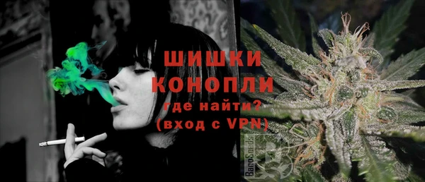 дмт Абаза