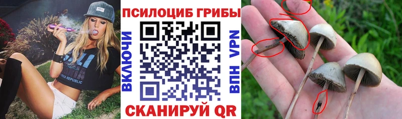 Галлюциногенные грибы GOLDEN TEACHER  MEGA онион  Бежецк 